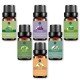 Essential Oil for Car Air Humidifiers, fresheners & Diffusers -10 ml/ 6Pack Essential Oil for Car Air Humidifiers, fresheners & Diffusers -10 ml/ 6Pack