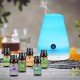 Essential Oil for Car Air Humidifiers, fresheners & Diffusers -10 ml/ 6Pack Essential Oil for Car Air Humidifiers, fresheners & Diffusers -10 ml/ 6Pack