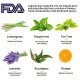 Essential Oil for Car Air Humidifiers, fresheners & Diffusers -10 ml/ 6Pack Essential Oil for Car Air Humidifiers, fresheners & Diffusers -10 ml/ 6Pack